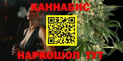 стафф Будённовск