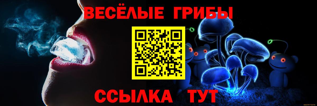 Псилоцибиновые грибы мухоморы  Галлюциногенные грибы ЛСД  Буйнакск  Вход с VPN 