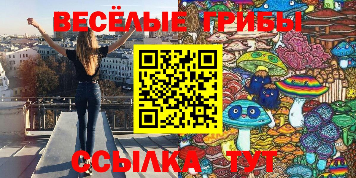 Псилоцибиновые грибы ЛСД Буйнакск